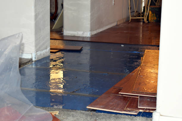 Professional Water Extraction technician working in Broadbent, OR